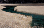 Jezioro Reed, Jiuzhaigou, Chiny